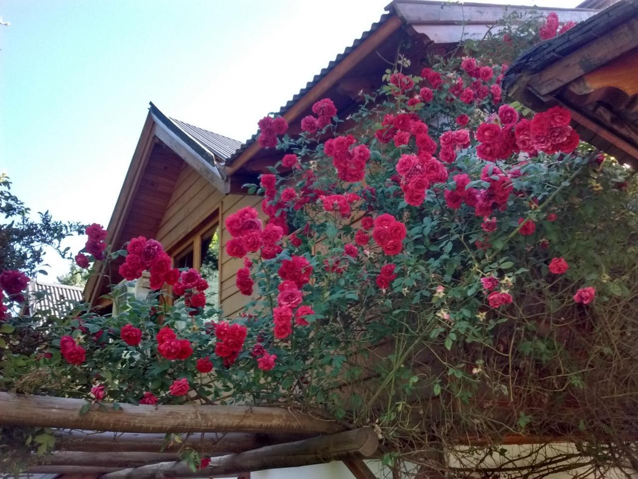 Cabañas Temporada San Martín de los Andes Exterior foto